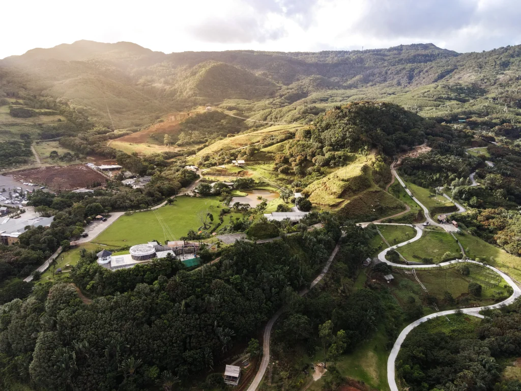 High-angle view of winding roads and lush green hills in the Savanne district, showcasing the rugged beauty of southern Mauritius