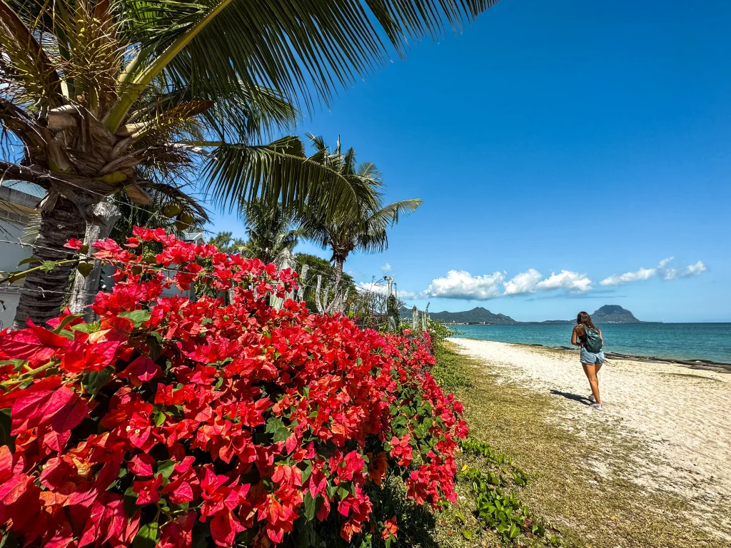 Traveler walking along a tropical beach in Mauritius surrounded by palm trees, vibrant flowers, and ocean views during a Mauritius day tour adventure