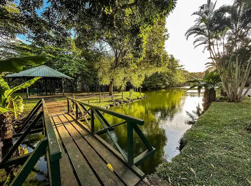 Wooden bridge over a pond at Sir Seewoosagur Ramgoolam Botanical Garden in North Mauritius